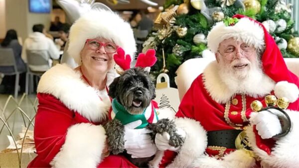 Creating Different Styles of Santa Pet Photography