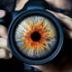 eye of photography