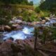 photography places near me